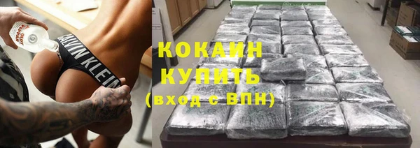 Альфа ПВП Каменка