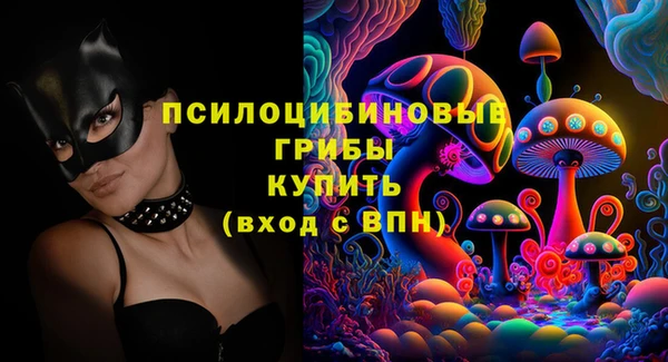 Альфа ПВП Каменка